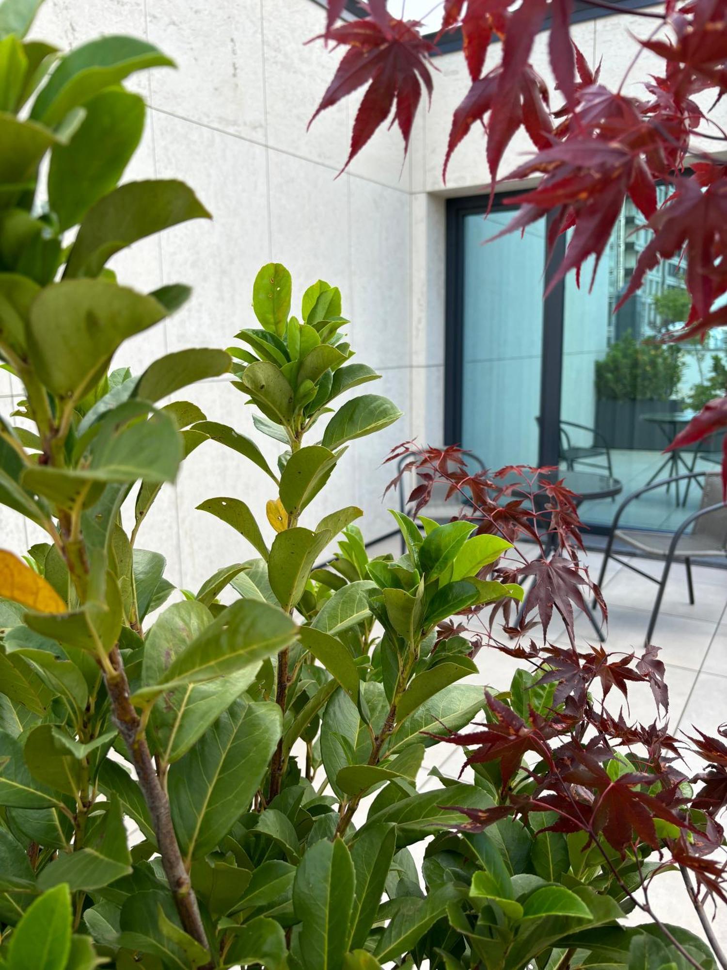 Blue Star Luxury Hotel Sofia Ngoại thất bức ảnh